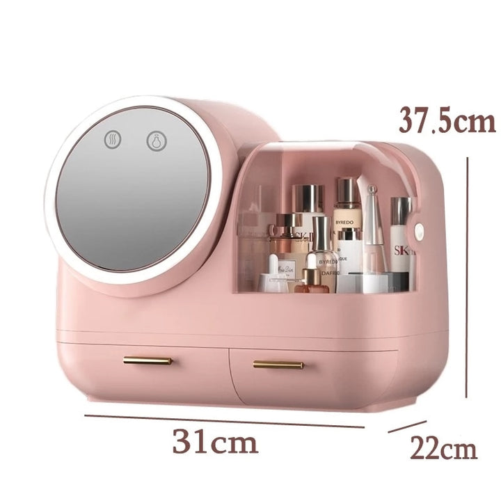 LED Light Makeup Storage Case